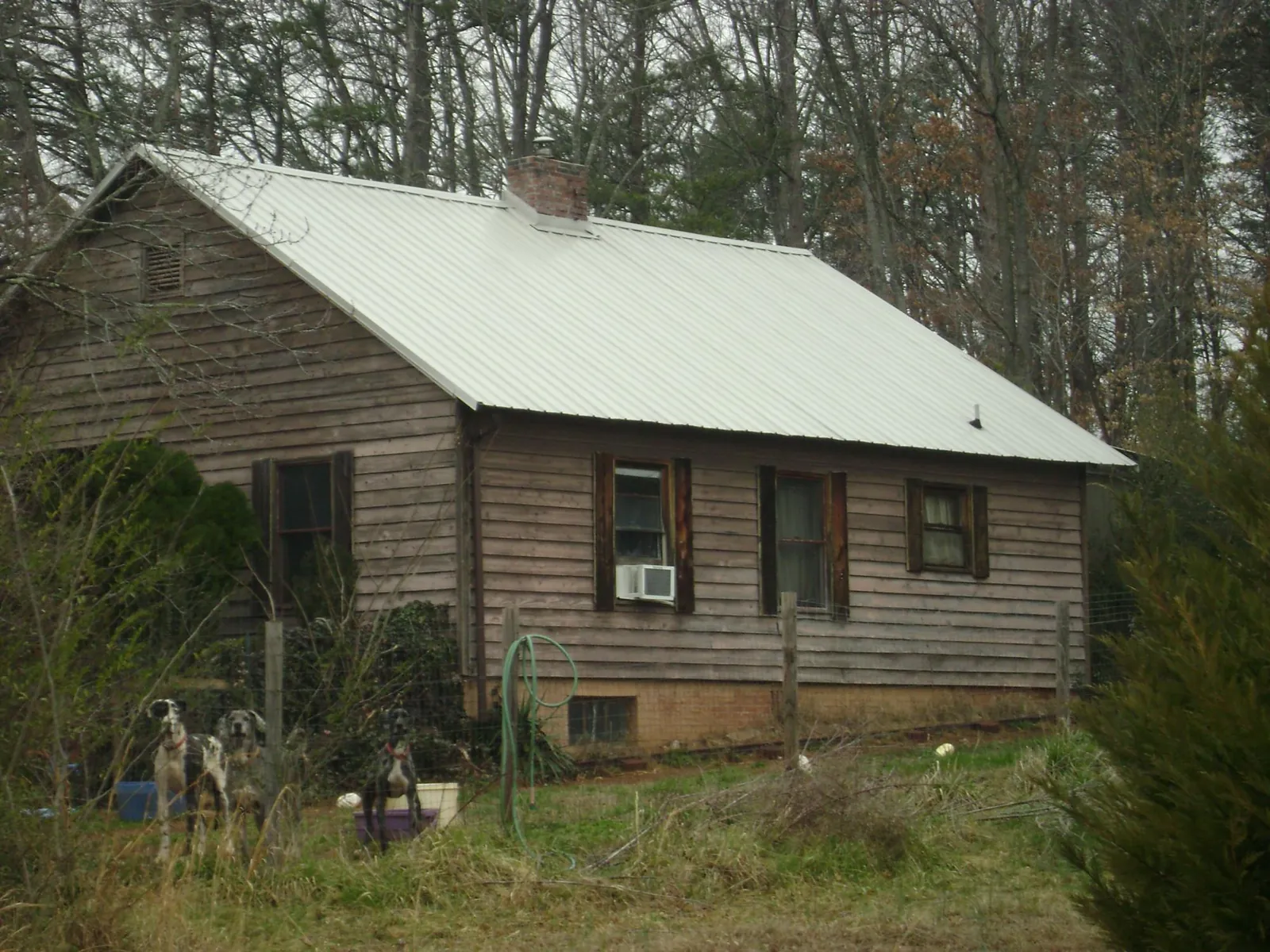White metal roof on an old wood sided farmhouse, from a Metal Roof Installation job in Lonepine